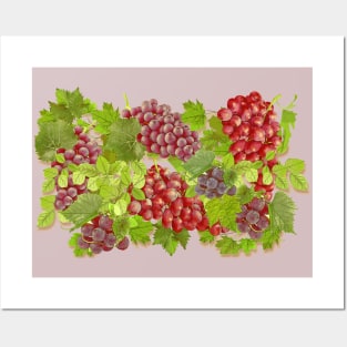 Uvas de Burdeos Posters and Art